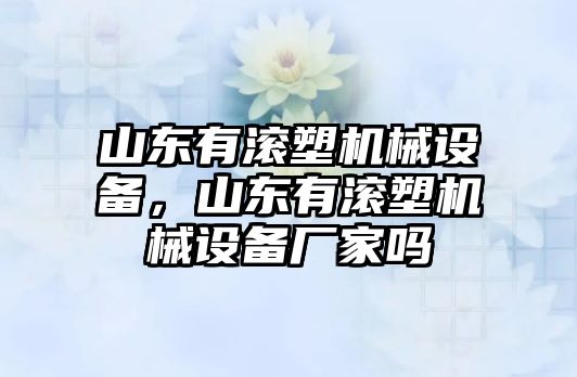 山東有滾塑機(jī)械設(shè)備，山東有滾塑機(jī)械設(shè)備廠家嗎