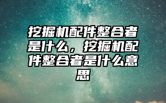 挖掘機(jī)配件整合者是什么，挖掘機(jī)配件整合者是什么意思