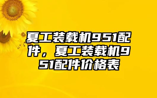 夏工裝載機(jī)951配件，夏工裝載機(jī)951配件價(jià)格表