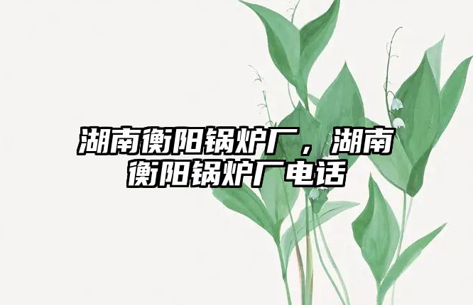 湖南衡陽(yáng)鍋爐廠，湖南衡陽(yáng)鍋爐廠電話