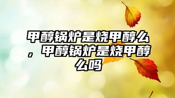 甲醇鍋爐是燒甲醇么，甲醇鍋爐是燒甲醇么嗎