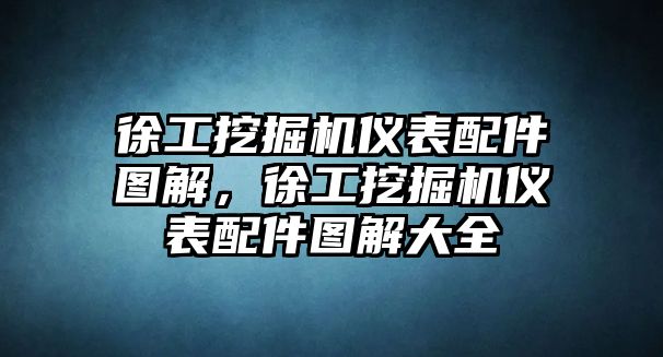 徐工挖掘機(jī)儀表配件圖解，徐工挖掘機(jī)儀表配件圖解大全