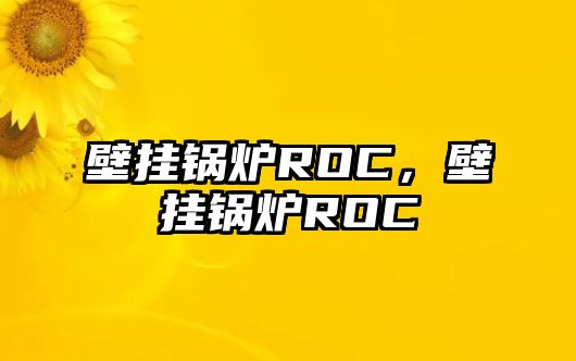 壁掛鍋爐ROC，壁掛鍋爐ROC