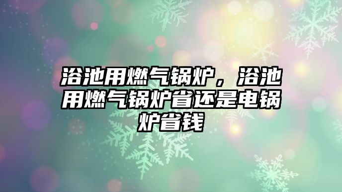 浴池用燃?xì)忮仩t，浴池用燃?xì)忮仩t省還是電鍋爐省錢(qián)