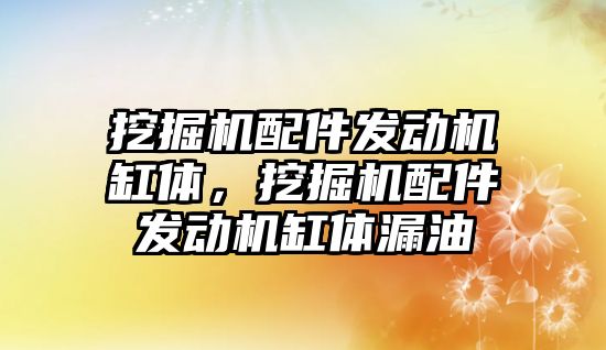 挖掘機配件發(fā)動機缸體，挖掘機配件發(fā)動機缸體漏油