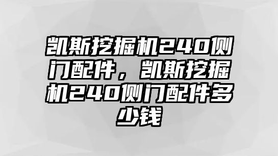 凱斯挖掘機(jī)240側(cè)門配件，凱斯挖掘機(jī)240側(cè)門配件多少錢