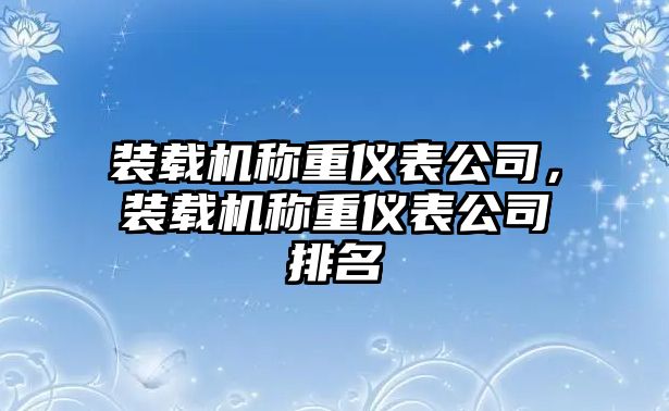 裝載機稱重儀表公司，裝載機稱重儀表公司排名