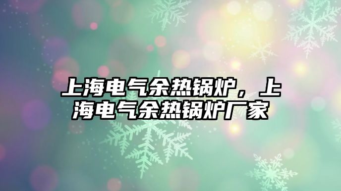 上海電氣余熱鍋爐，上海電氣余熱鍋爐廠家