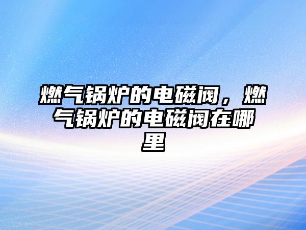 燃?xì)忮仩t的電磁閥，燃?xì)忮仩t的電磁閥在哪里