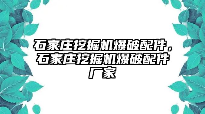 石家莊挖掘機爆破配件，石家莊挖掘機爆破配件廠家