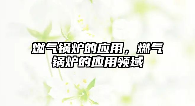 燃?xì)忮仩t的應(yīng)用，燃?xì)忮仩t的應(yīng)用領(lǐng)域