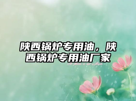 陜西鍋爐專用油，陜西鍋爐專用油廠家