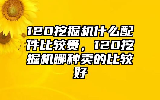 120挖掘機(jī)什么配件比較貴，120挖掘機(jī)哪種賣的比較好