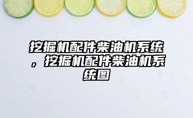 挖掘機配件柴油機系統(tǒng)，挖掘機配件柴油機系統(tǒng)圖