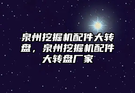 泉州挖掘機配件大轉(zhuǎn)盤，泉州挖掘機配件大轉(zhuǎn)盤廠家