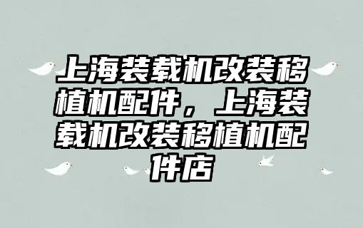 上海裝載機(jī)改裝移植機(jī)配件，上海裝載機(jī)改裝移植機(jī)配件店