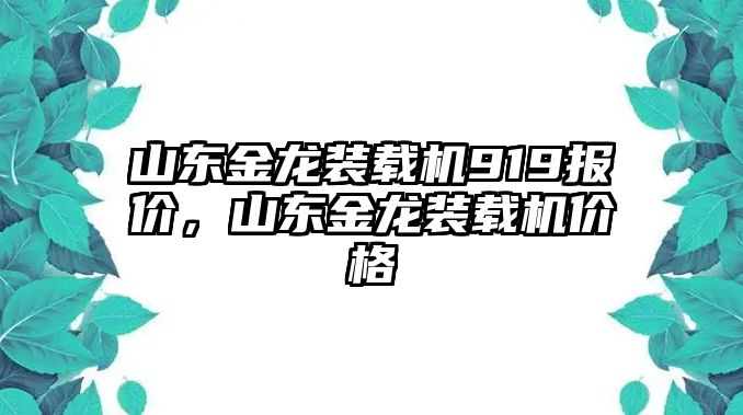 山東金龍裝載機919報價，山東金龍裝載機價格