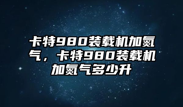 卡特980裝載機(jī)加氮?dú)?，卡?80裝載機(jī)加氮?dú)舛嗌偕?/>	
								</i>
								<p class=