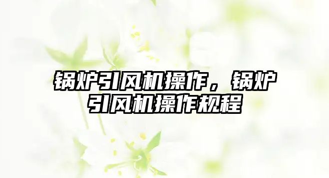 鍋爐引風(fēng)機操作，鍋爐引風(fēng)機操作規(guī)程