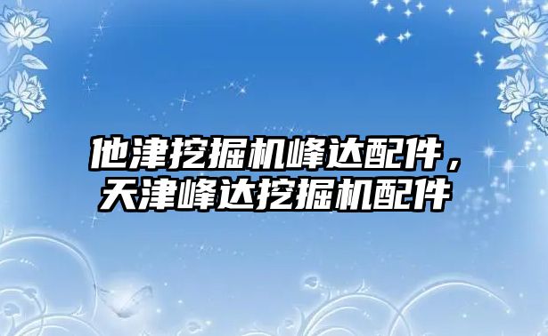 他津挖掘機峰達配件，天津峰達挖掘機配件