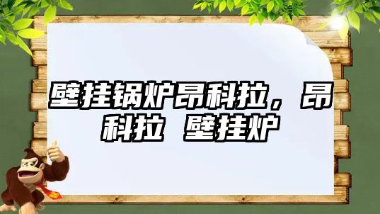 壁掛鍋爐昂科拉，昂科拉 壁掛爐