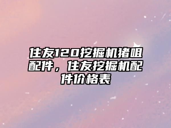 住友120挖掘機(jī)豬咀配件，住友挖掘機(jī)配件價(jià)格表