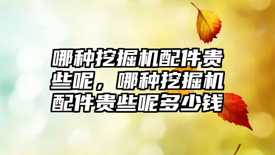 哪種挖掘機配件貴些呢，哪種挖掘機配件貴些呢多少錢