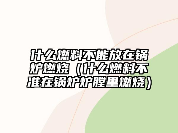 什么燃料不能放在鍋爐燃燒（什么燃料不準在鍋爐爐膛里燃燒）