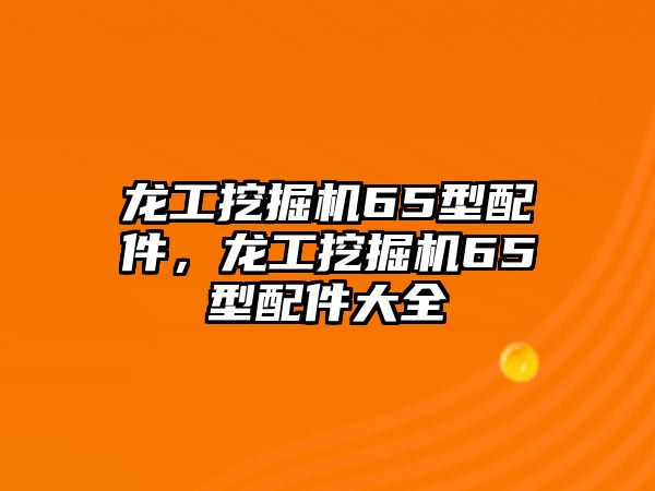 龍工挖掘機65型配件，龍工挖掘機65型配件大全