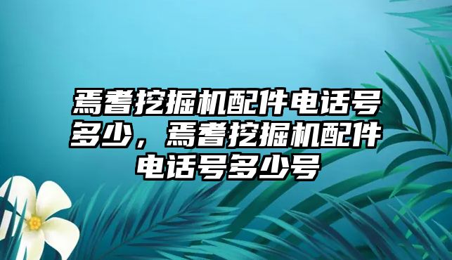 焉耆挖掘機配件電話號多少，焉耆挖掘機配件電話號多少號