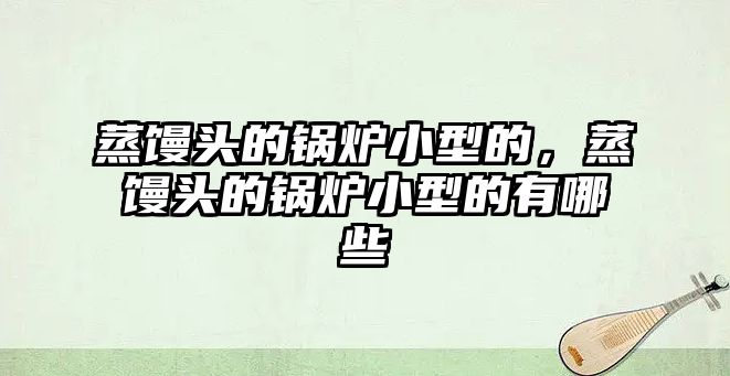 蒸饅頭的鍋爐小型的，蒸饅頭的鍋爐小型的有哪些