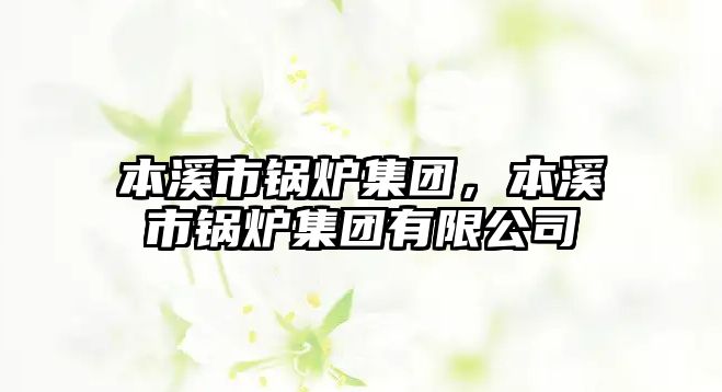 本溪市鍋爐集團(tuán)，本溪市鍋爐集團(tuán)有限公司