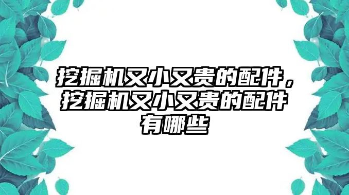 挖掘機(jī)又小又貴的配件，挖掘機(jī)又小又貴的配件有哪些