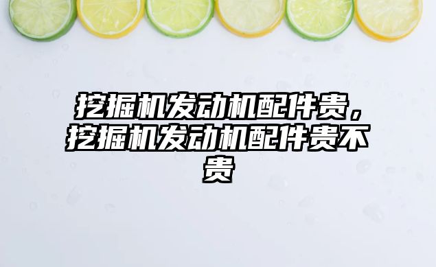 挖掘機發(fā)動機配件貴，挖掘機發(fā)動機配件貴不貴