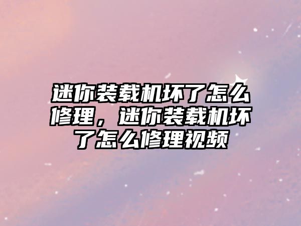 迷你裝載機(jī)壞了怎么修理，迷你裝載機(jī)壞了怎么修理視頻