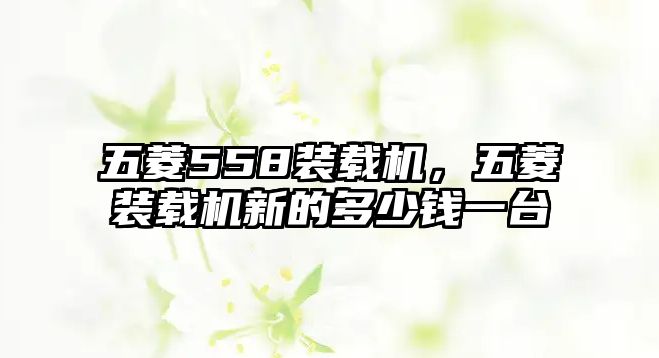 五菱558裝載機(jī)，五菱裝載機(jī)新的多少錢一臺(tái)