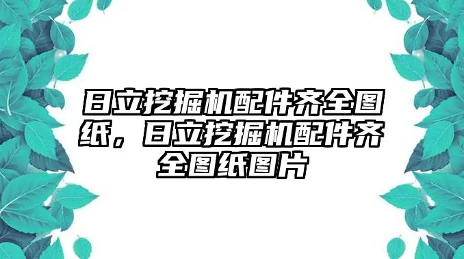 日立挖掘機(jī)配件齊全圖紙，日立挖掘機(jī)配件齊全圖紙圖片