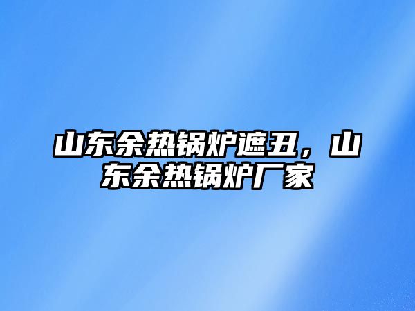 山東余熱鍋爐遮丑，山東余熱鍋爐廠家