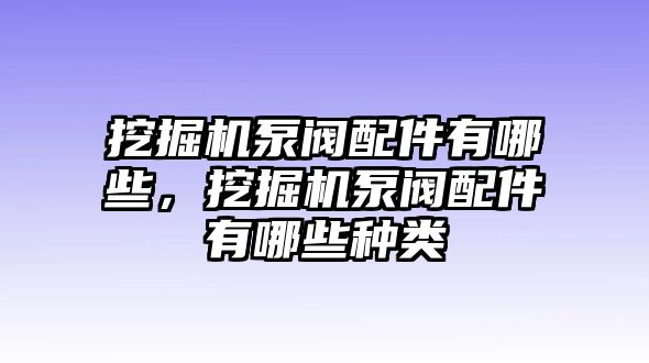 挖掘機(jī)泵閥配件有哪些，挖掘機(jī)泵閥配件有哪些種類(lèi)