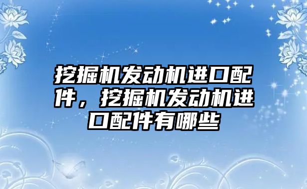 挖掘機發(fā)動機進口配件，挖掘機發(fā)動機進口配件有哪些