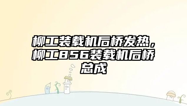 柳工裝載機后橋發(fā)熱，柳工856裝載機后橋總成