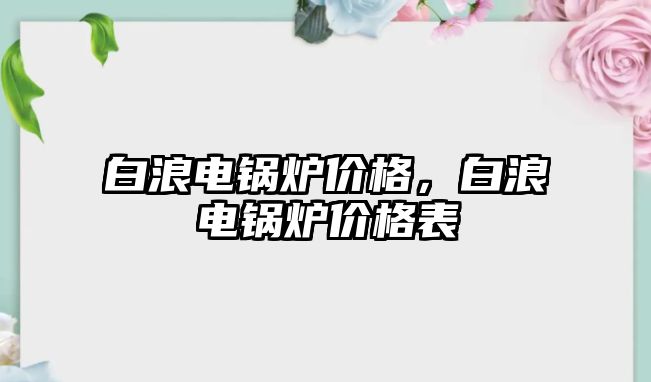 白浪電鍋爐價格，白浪電鍋爐價格表