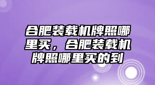 合肥裝載機牌照哪里買，合肥裝載機牌照哪里買的到