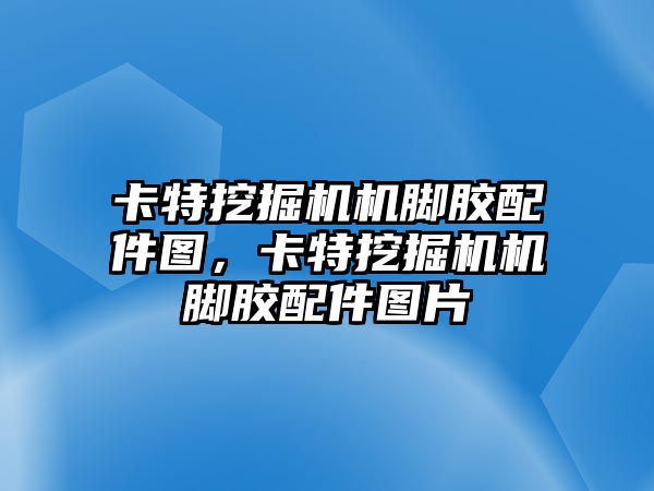 卡特挖掘機(jī)機(jī)腳膠配件圖，卡特挖掘機(jī)機(jī)腳膠配件圖片