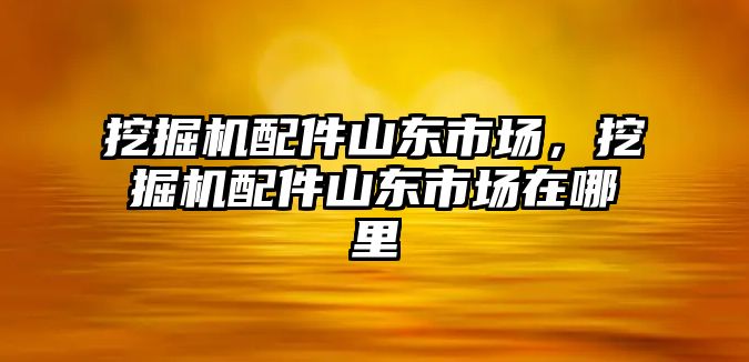 挖掘機配件山東市場，挖掘機配件山東市場在哪里