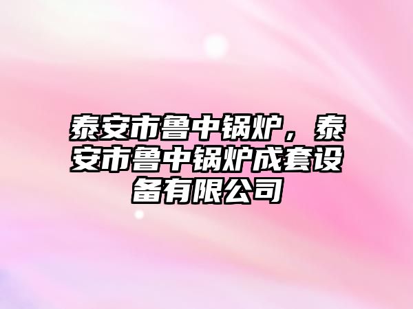 泰安市魯中鍋爐，泰安市魯中鍋爐成套設(shè)備有限公司