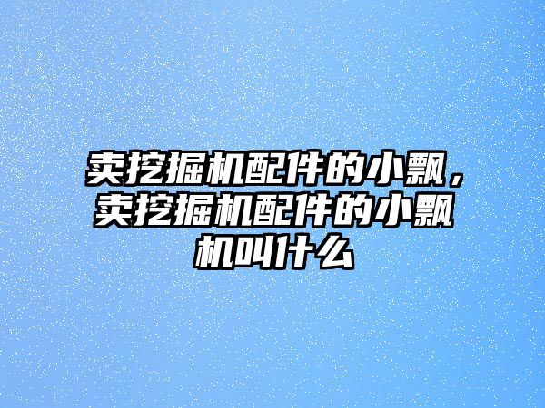 賣挖掘機(jī)配件的小飄，賣挖掘機(jī)配件的小飄機(jī)叫什么