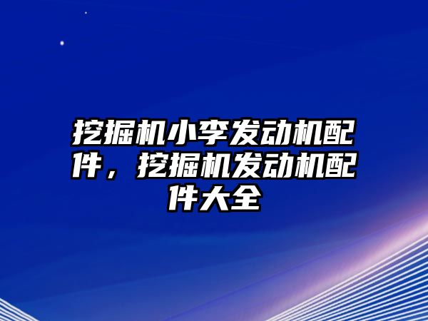 挖掘機(jī)小李發(fā)動機(jī)配件，挖掘機(jī)發(fā)動機(jī)配件大全