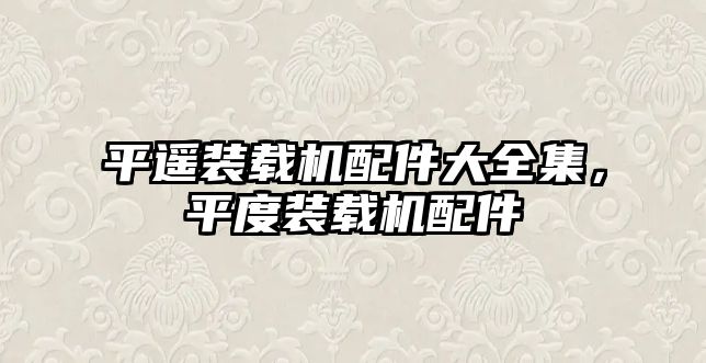 平遙裝載機配件大全集，平度裝載機配件