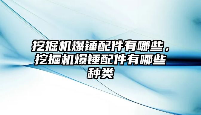 挖掘機爆錘配件有哪些，挖掘機爆錘配件有哪些種類